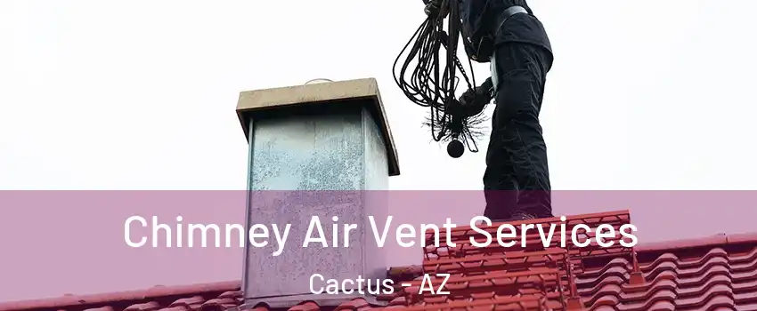 Chimney Air Vent Services Cactus - AZ