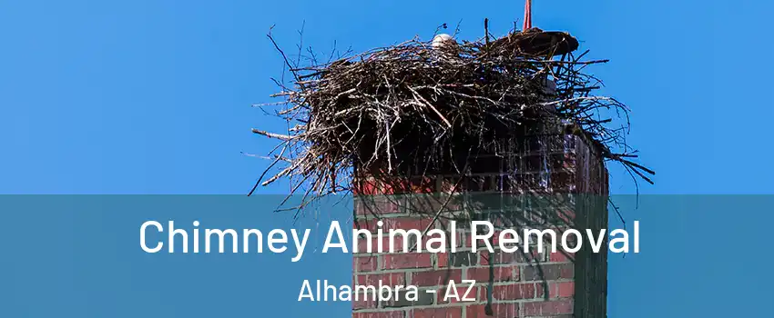 Chimney Animal Removal Alhambra - AZ