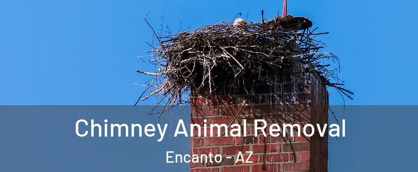 Chimney Animal Removal Encanto - AZ