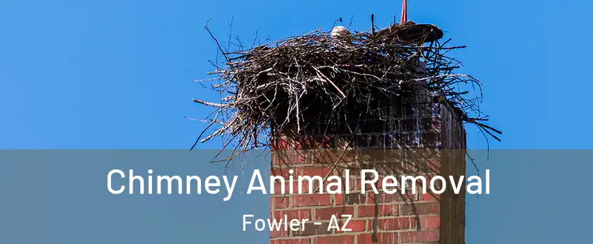 Chimney Animal Removal Fowler - AZ