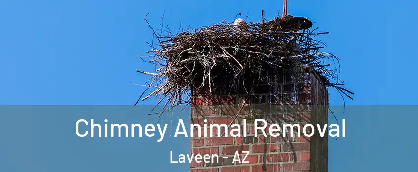 Chimney Animal Removal Laveen - AZ