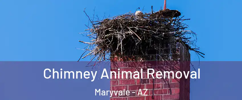 Chimney Animal Removal Maryvale - AZ