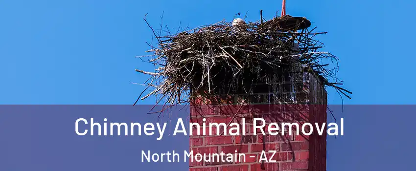 Chimney Animal Removal North Mountain - AZ