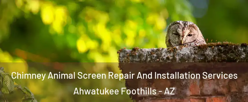 Chimney Animal Screen Repair And Installation Services Ahwatukee Foothills - AZ