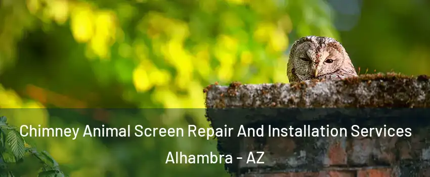 Chimney Animal Screen Repair And Installation Services Alhambra - AZ