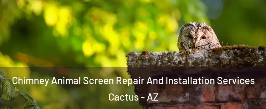 Chimney Animal Screen Repair And Installation Services Cactus - AZ