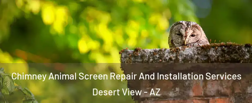 Chimney Animal Screen Repair And Installation Services Desert View - AZ