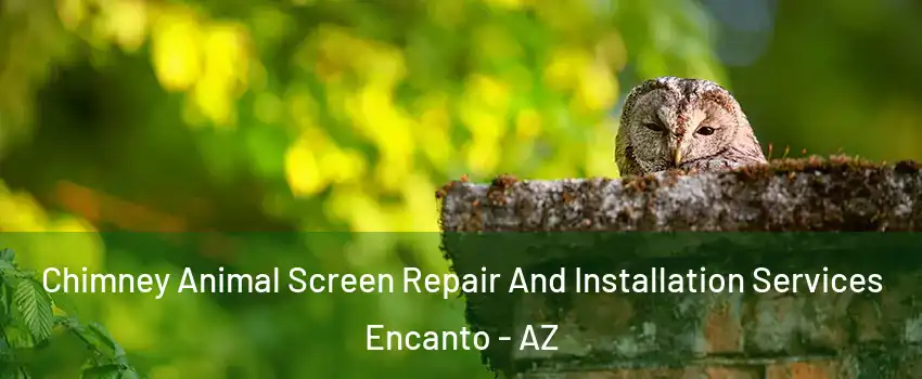 Chimney Animal Screen Repair And Installation Services Encanto - AZ