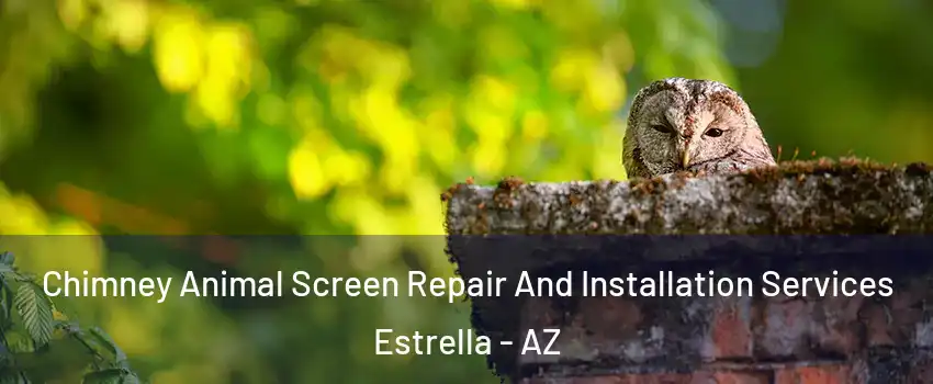 Chimney Animal Screen Repair And Installation Services Estrella - AZ