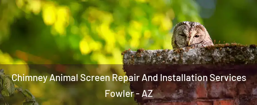 Chimney Animal Screen Repair And Installation Services Fowler - AZ