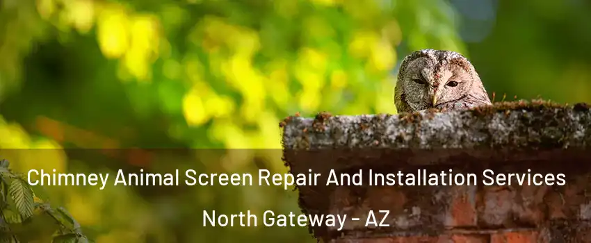 Chimney Animal Screen Repair And Installation Services North Gateway - AZ