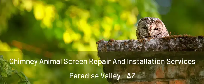 Chimney Animal Screen Repair And Installation Services Paradise Valley - AZ