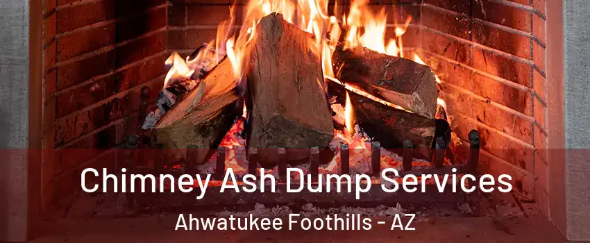 Chimney Ash Dump Services Ahwatukee Foothills - AZ