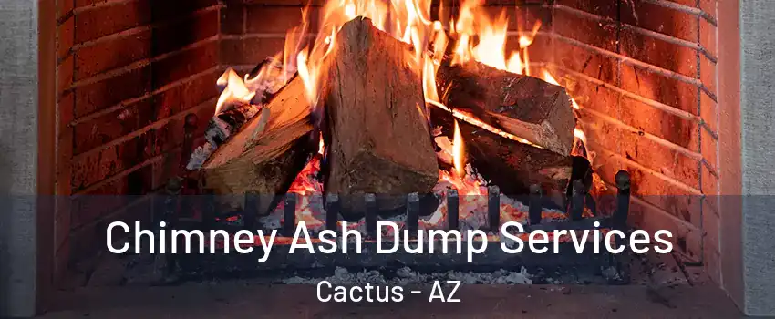 Chimney Ash Dump Services Cactus - AZ