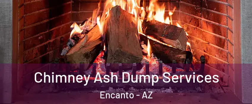 Chimney Ash Dump Services Encanto - AZ