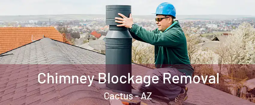 Chimney Blockage Removal Cactus - AZ