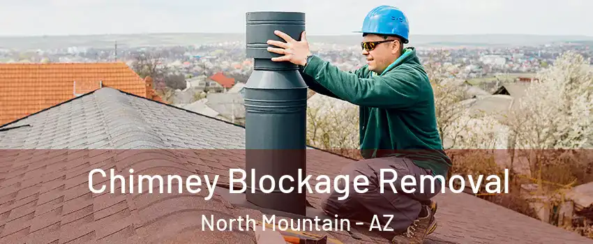 Chimney Blockage Removal North Mountain - AZ