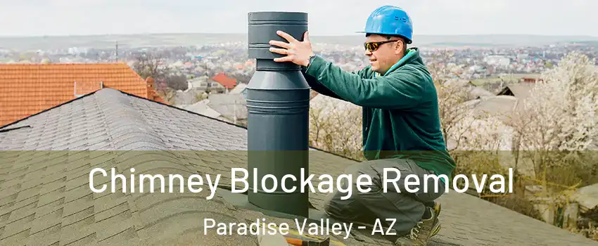 Chimney Blockage Removal Paradise Valley - AZ