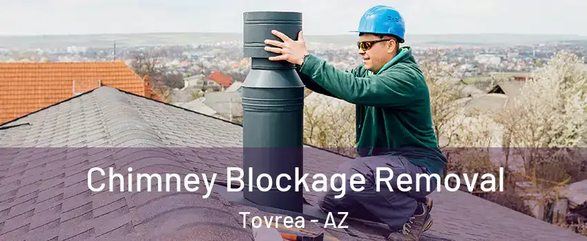 Chimney Blockage Removal Tovrea - AZ