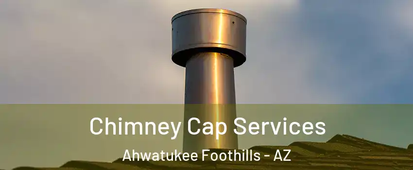 Chimney Cap Services Ahwatukee Foothills - AZ