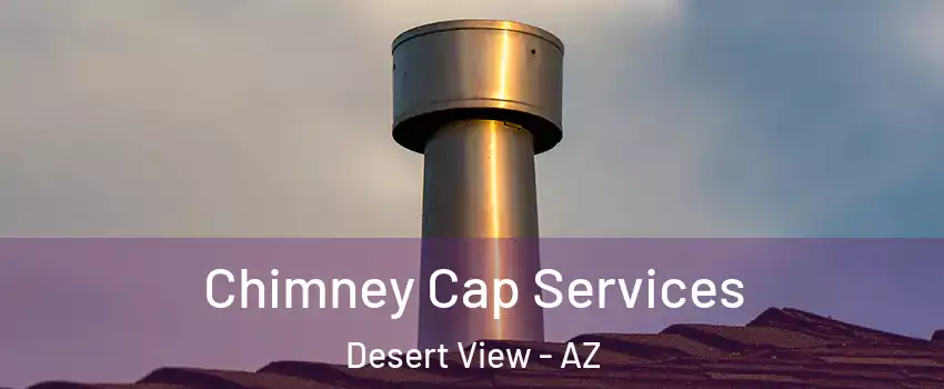 Chimney Cap Services Desert View - AZ