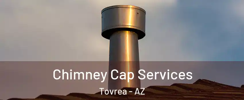 Chimney Cap Services Tovrea - AZ