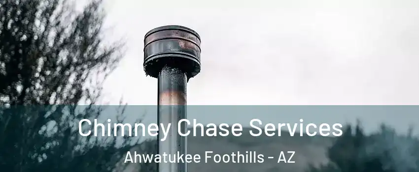 Chimney Chase Services Ahwatukee Foothills - AZ