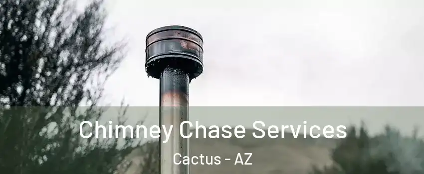 Chimney Chase Services Cactus - AZ