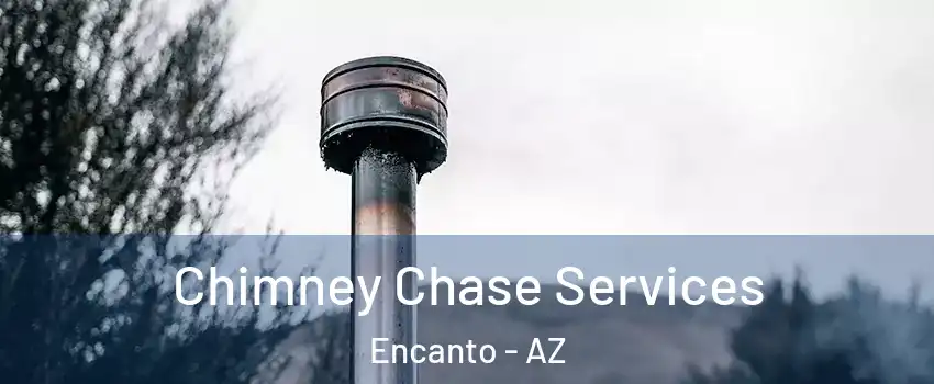 Chimney Chase Services Encanto - AZ