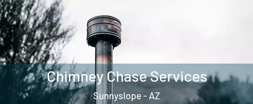 Chimney Chase Services Sunnyslope - AZ