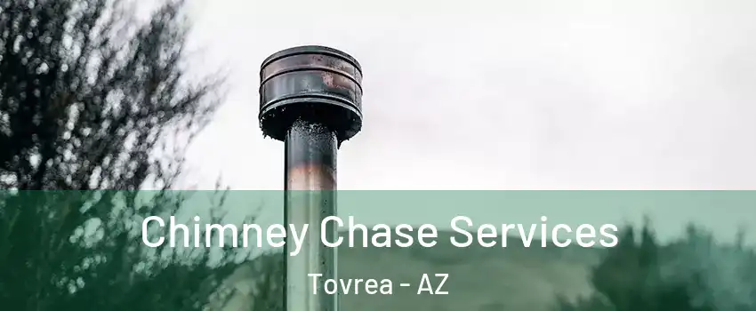 Chimney Chase Services Tovrea - AZ