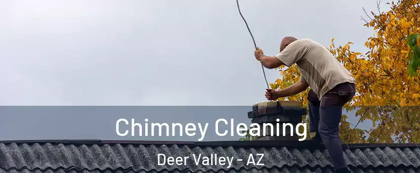 Chimney Cleaning Deer Valley - AZ