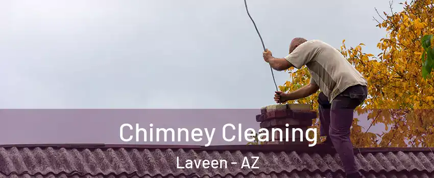 Chimney Cleaning Laveen - AZ