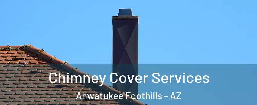 Chimney Cover Services Ahwatukee Foothills - AZ