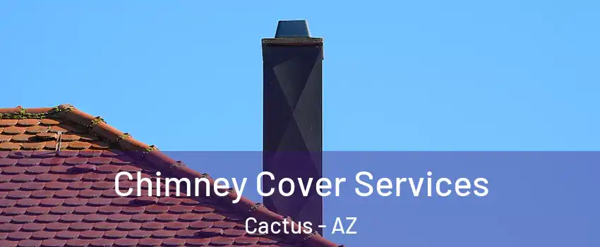 Chimney Cover Services Cactus - AZ