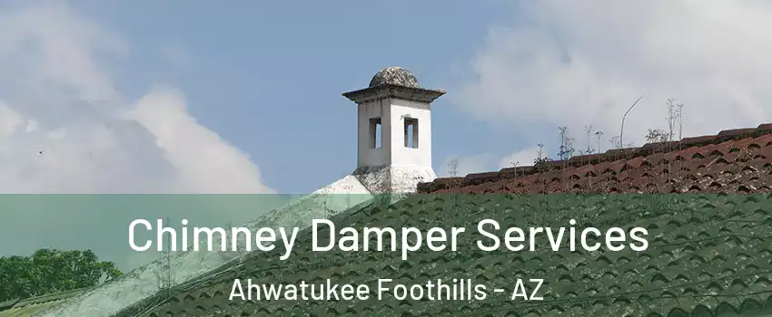 Chimney Damper Services Ahwatukee Foothills - AZ