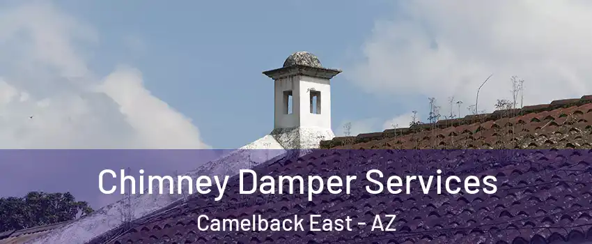 Chimney Damper Services Camelback East - AZ