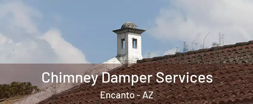 Chimney Damper Services Encanto - AZ