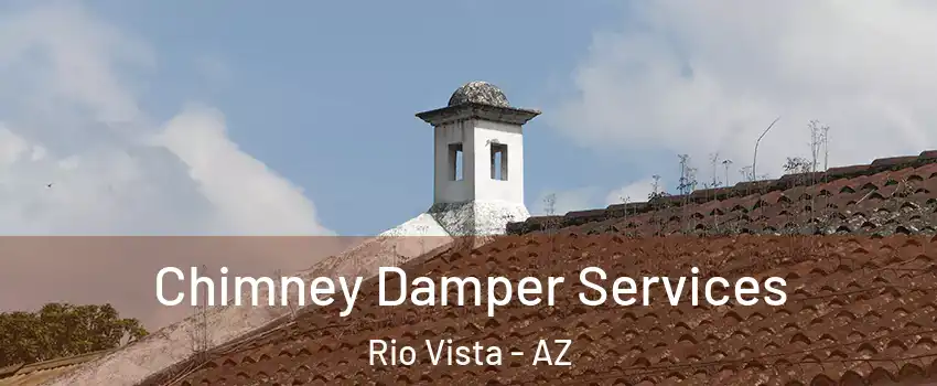 Chimney Damper Services Rio Vista - AZ