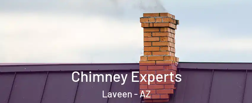 Chimney Experts Laveen - AZ