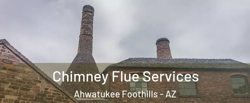 Chimney Flue Services Ahwatukee Foothills - AZ