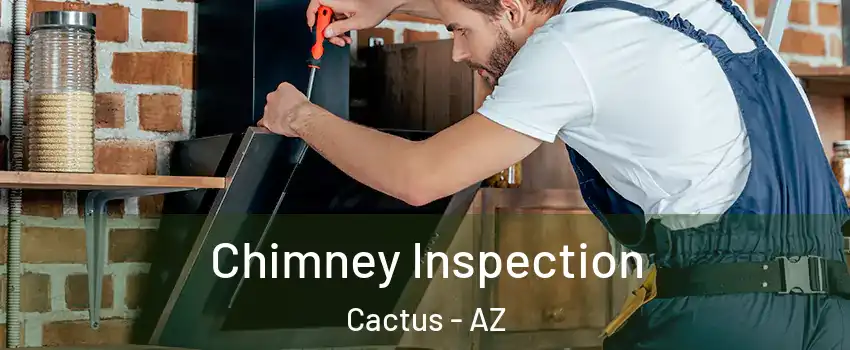 Chimney Inspection Cactus - AZ