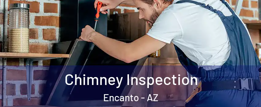 Chimney Inspection Encanto - AZ