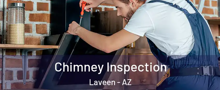 Chimney Inspection Laveen - AZ