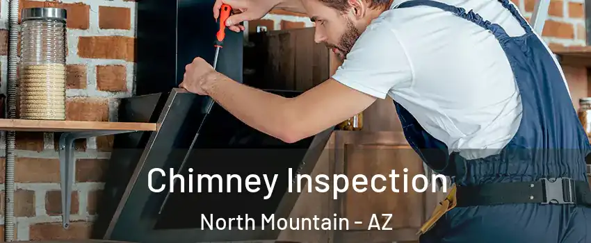 Chimney Inspection North Mountain - AZ