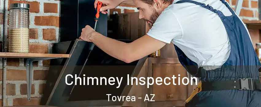 Chimney Inspection Tovrea - AZ