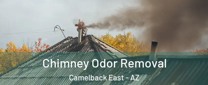 Chimney Odor Removal Camelback East - AZ