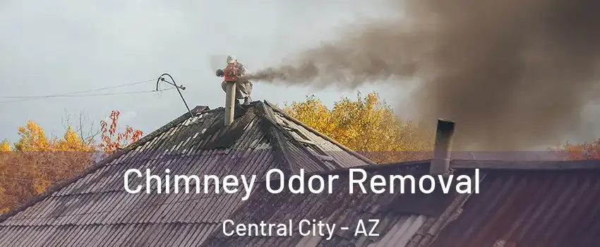 Chimney Odor Removal Central City - AZ