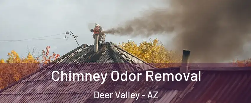 Chimney Odor Removal Deer Valley - AZ