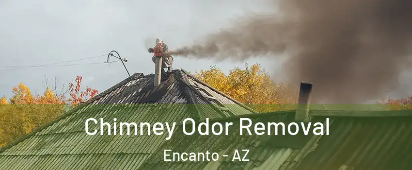 Chimney Odor Removal Encanto - AZ